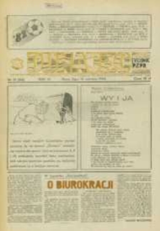 Dunajec : tygodnik PZPR. 1982, R.3, nr 21(84)